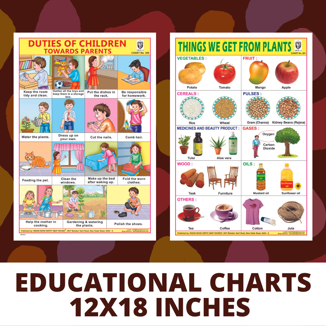 Picture educational charts for school homework and project size 12x18