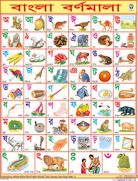 BENGALI ALPHABET CHART SIZE 45 X 57 CMS