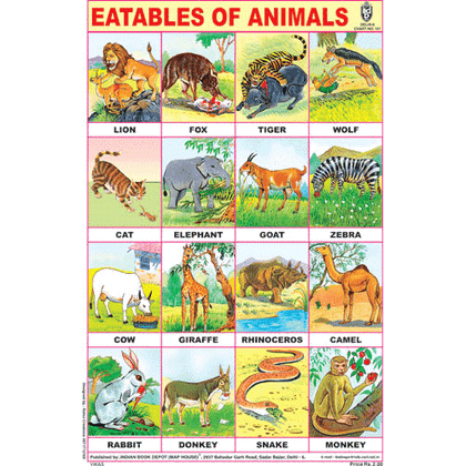 EATABLES OF ANIMALS SIZE 24 X 36 CMS CHART NO. 151 - Indian Book Depot (Map House)