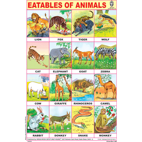 EATABLES OF ANIMALS CHART SIZE 12X18 (INCHS) 300GSM ARTCARD