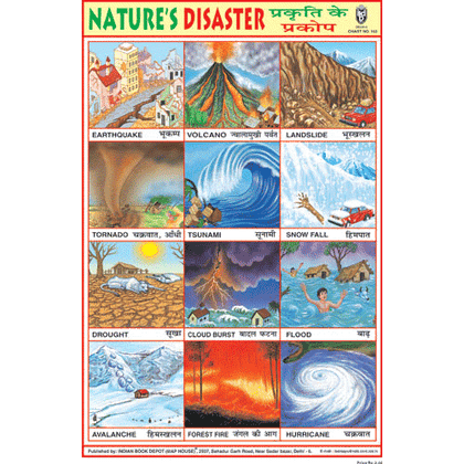 NATURE'S DISASTER (TSUNAMI) SIZE 24 X 36 CMS CHART NO. 163 - Indian Book Depot (Map House)