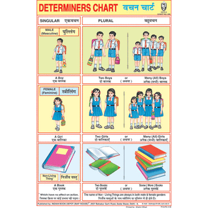 DETERMINERS CHART SIZE 24 X 36 CMS CHART NO. 206 - Indian Book Depot (Map House)