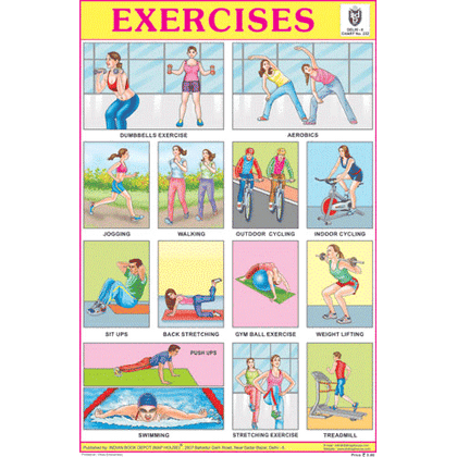 EXERCISES SIZE 24 X 36 CMS CHART NO. 232 - Indian Book Depot (Map House)