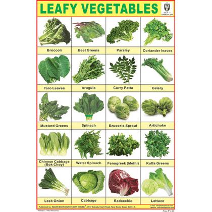LEAFY VEGETABLES SIZE 24 X 36 CMS CHART NO. 234 - Indian Book Depot (Map House)