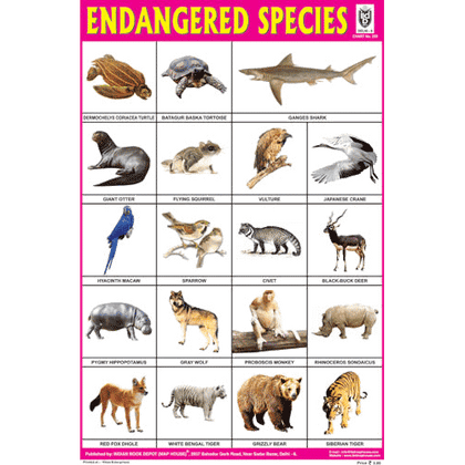 ENDANGERED SPECIES SIZE 24 X 36 CMS CHART NO. 238 - Indian Book Depot (Map House)