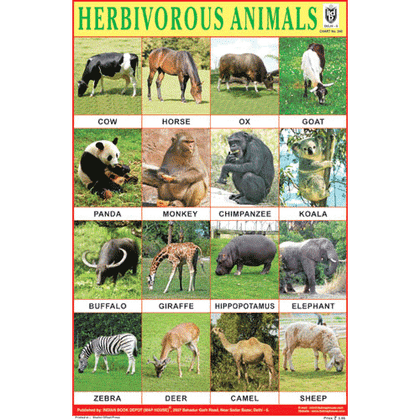 HERBIVOROUS ANIMALS SIZE 24 X 36 CMS CHART NO. 240 - Indian Book Depot (Map House)