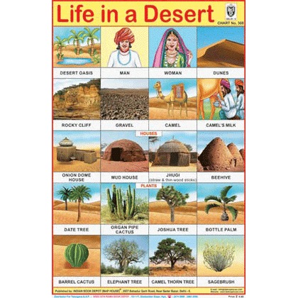 LIFE IN DESERT SIZE 24 X 36 CMS CHART NO. 308 - Indian Book Depot (Map House)