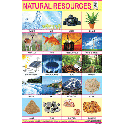 NATURAL RESOURCES  SIZE 24 X 36 CMS CHART NO. 321 - Indian Book Depot (Map House)