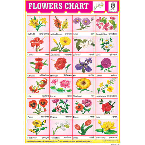 FLOWERS CHART 24 PHOTO (RED) SIZE 24 X 36 CMS CHART NO. 33