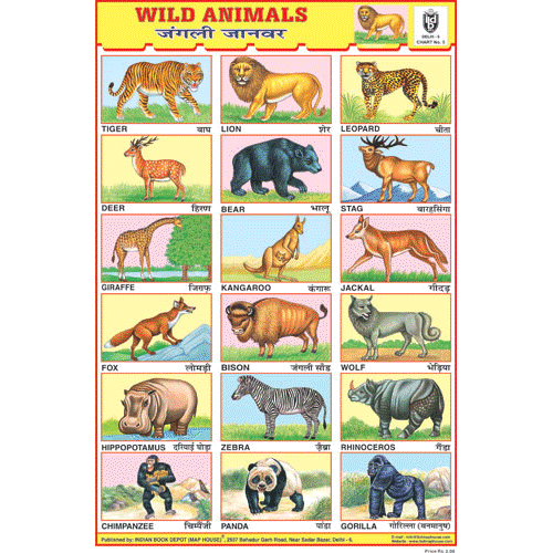 WILD ANIMALS CHART SIZE 12X18 (INCHS) 300GSM ARTCARD