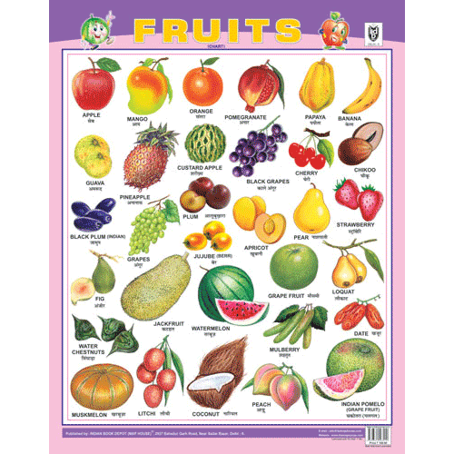 FRUITS CHART SIZE 55 X 70 CMS