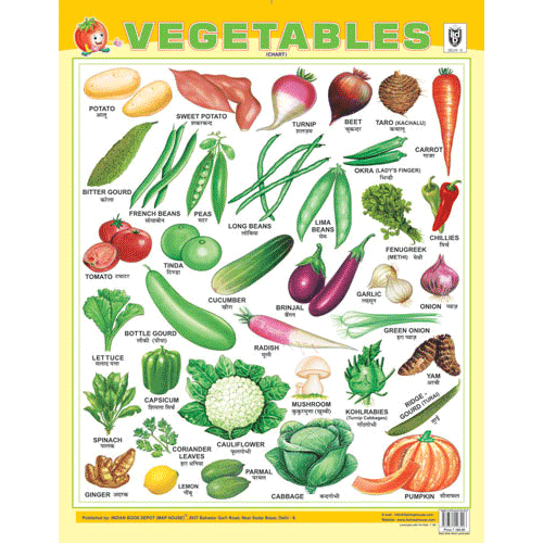 VEGETABLES CHART SIZE 55 X 70 CMS